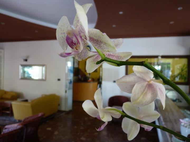 Hotel Gambrinus Лидо-ди-Езоло Экстерьер фото